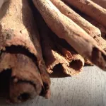 le-bois-bande-une-ecorce-pour-booster-l-appetit-sexuel