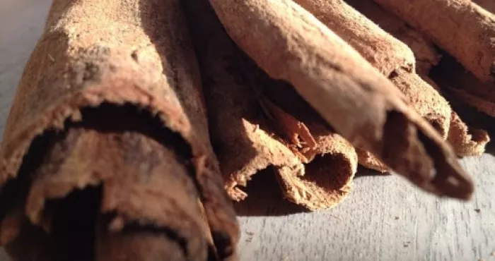 le-bois-bande-une-ecorce-pour-booster-l-appetit-sexuel
