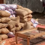 cote-d-ivoire-les-producteurs-de-cacao-grognent-l-etat-interpelle