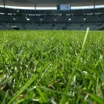 qualite-du-gazon-du-stade-olympique-d-ebimpe-enquete-sur-le-systeme-d-entretien-d-une-pelouse