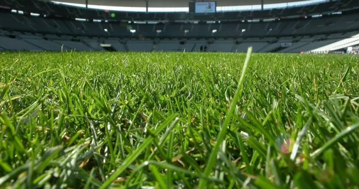 qualite-du-gazon-du-stade-olympique-d-ebimpe-enquete-sur-le-systeme-d-entretien-d-une-pelouse