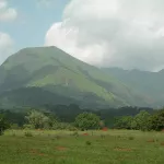 preservation-de-patrimoine-les-gardiens-du-mont-nimba-formes-par-l-unesco