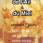 mangez-de-l-ail-et-du-miel-a-jeun-pendant-7-jours-voici-ce-qu-il-se-passe-dans-votre-corps