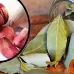 les-secrets-de-l-ail-et-du-laurier-pour-attirer-l-abondance-et-l-argent-dans-le-portefeuille