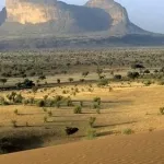 neuf-soldats-maliens-tues-dans-une-attaque-djihadistes