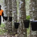 cambriolage-un-malfaiteur-emporte-tout-l-argent-d-une-societe-d-achat-de-caoutchouc