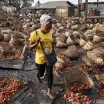 nigeria-violences-ethniques-a-ibadan-un-marche-totalement-ravage