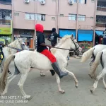 le-rhdp-sillonne-les-rues-en-chevaux