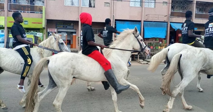 le-rhdp-sillonne-les-rues-en-chevaux