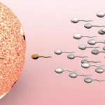 grossesse-quelques-conseils-pour-tomber-enceinte-le-plus-rapidement-possible