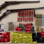 des-armes-a-feu-et-du-cannabis-saisis-a-logouale