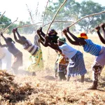 developpement-100-intellectuels-africains-lancent-la-reflexion