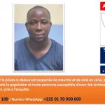 la-police-lance-un-appel-a-temoin-contre-un-presume-violeur-en-serie-mis-aux-arrets