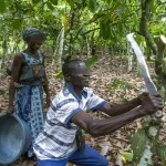 affaire-un-planteur-enceinte-sa-belle-mere-voici-les-dernieres-nouvelles-le-paysan-est-alle-chercher-une-nouvelle-femme-chez-lui-au-village
