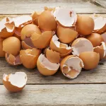 coquilles-d-oeufs-l-utilite-au-quotidien