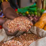 conference-internationale-la-cedeao-partage-l-experience-de-son-systeme-regional-de-stockage-de-securite-alimentaire