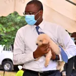 abidjan-une-campagne-de-vaccination-contre-la-rage-lancee