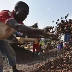 cote-d-ivoire-la-crise-energetique-impacte-fortement-la-commercialisation-interieure-du-cacao-des-dispositions-annoncees