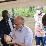 station-de-recherche-du-cnra-sur-le-cocotier-l-ambassadeur-de-france-sous-le-charme-des-grands-progres-realises