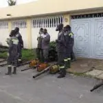 lutte-contre-les-moustiques-l-institut-national-de-l-hygiene-publique-lance-la-campagne-de-demoustication-tout-sur-les-zones-concernees