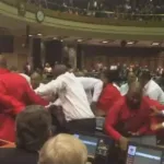 afrique-du-sud-coups-de-poing-entre-les-deputes-au-parlement-panafricain