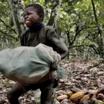 travail-des-enfants-dans-la-cacaoculture-en-cote-d-ivoire-et-au-ghana-ce-que-revele-le-rapport-2020-de-la-fondation-ici