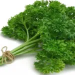 les-bienfaits-du-persil-sur-la-sante