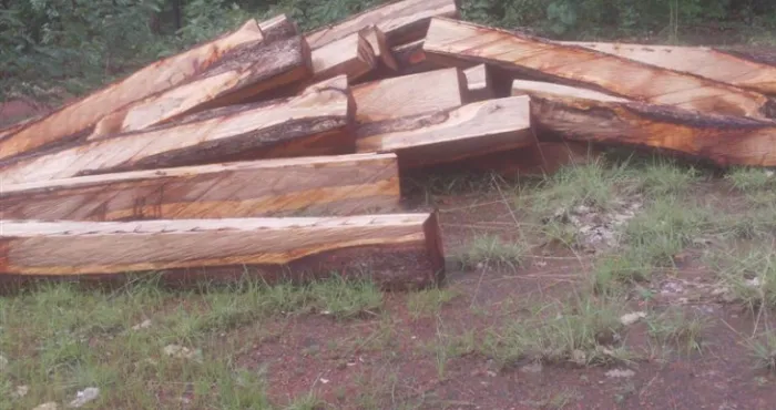affaire-disparition-des-conteneurs-de-bois-de-vene-a-san-pedro-le-ministere-des-eaux-et-forets-fait-des-precisions