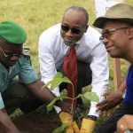 preservation-des-forets-ivoiriennes-300-arbres-plantes-par-des-collaborateurs-de-bollore-transport-and-logistics-au-sein-d-un-etablissement