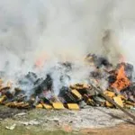 journee-mondiale-de-lutte-contre-l-abus-et-le-trafic-illicite-de-drogues-la-gendarmerie-met-le-feu-a-14-tonnes-de-drogues-et-de-faux-medicaments