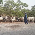 il-decoupe-son-collegue-et-vend-ses-membres