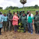 foret-ivoirienne-une-delegation-britannique-visite-la-foret-classee-de-l-anguededou