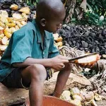 lutte-contre-le-travail-des-enfants-ce-que-revele-une-nouvelle-etude-de-la-fondation-international-cocoa-initiative-ici