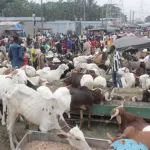 port-bouet-banditisme-des-voleurs-de-moutons-arretes-a-l-abattoir-l-un-d-eux-s-evade-des-locaux-de-la-police