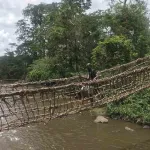 la-ville-de-man-transformee-en-capitale-de-cinema