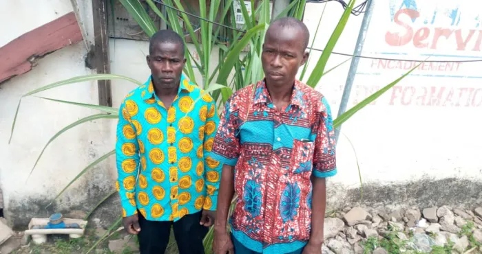 construction-de-rente-de-bovins-laitiers-a-kossou-des-proprietaires-coutumiers-sur-le-pied-de-guerre