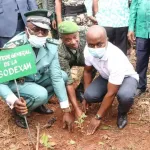 reboisement-une-operation-de-planting-d-arbres-lancee-a-man