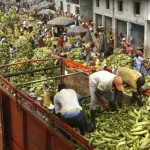 cote-d-ivoire-les-femmes-du-secteur-du-vivrier-annoncent-une-baisse-des-prix-des-produits-des-aujourd-hui