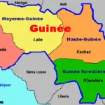 epidemie-le-virus-de-marburg-signale-en-afrique-de-l-ouest