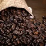 agriculture-un-projet-de-valorisation-du-cafe-origine-cote-d-ivoire-mis-en-oeuvre