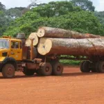 aniassue-abengourou-un-planteur-ecrase-par-une-bille-de-bois-deux-exploitants-forestiers-arretes