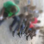 lutte-contre-le-banditisme-29-individus-interpelles-ce-mardi-au-cours-d-une-rafle