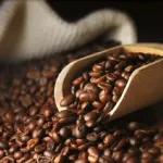 campagne-cafe-cacao-2021-2022-le-cout-du-kilo-du-cafe-fixe-a-700-fcfa