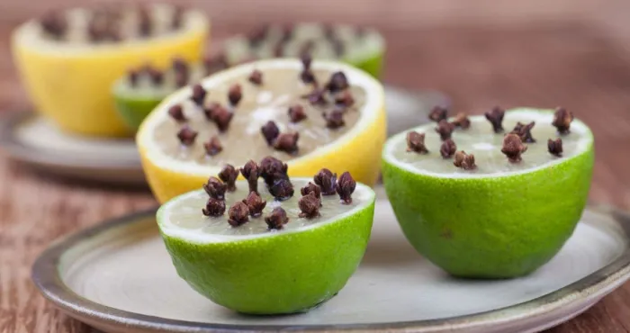 le-citron-et-le-clou-de-girofle-deux-produits-naturels-pour-dire-adieux-aux-mauvaises-odeurs