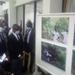 journees-africaines-de-l-ecologie-et-des-changements-climatiques-le-role-des-collectivites-territoriales-au-coeur-de-la-troisieme-edition