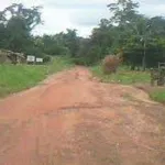 blolequin-un-homme-fusille-sa-femme-et-se-tue-apres