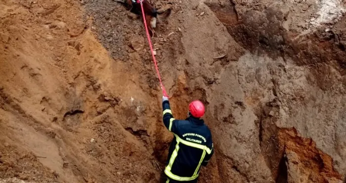 eboulement-sur-un-chantier-de-passage-du-4eme-pont-voici-l-identite-des-victimes-le-bras-d-un-homme-sectionne-par-une-machine
