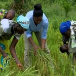 dereglement-du-calendrier-agricole-les-paysans-s-adaptent-difficilement