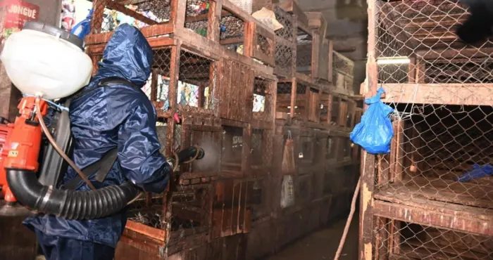 cote-d-ivoire-menace-de-la-grippe-aviaire-les-autorites-intensifient-la-lutte
