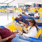 action-sociale-le-sang-des-magiciens-preleve